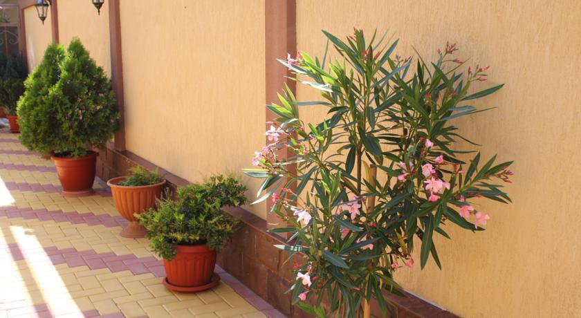 Гостевой дом Нартон Адлер