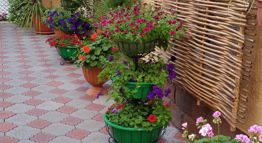 Гостевой дом Нартон Адлер-48