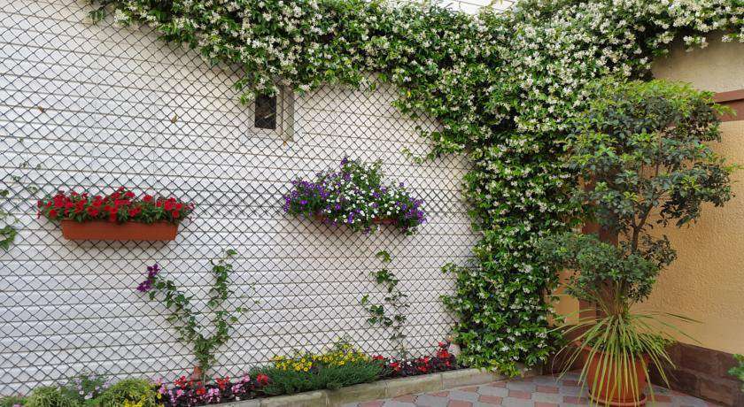 Гостевой дом Нартон Адлер-50