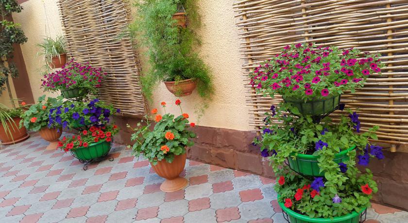 Гостевой дом Нартон Адлер-46