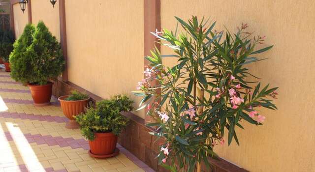 Гостевой дом Нартон Адлер-6