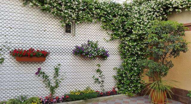 Гостевой дом Нартон Адлер-49